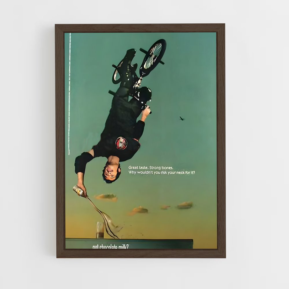 Poster Mat Hoffman's Thrills – affiche BMX (vue 5)